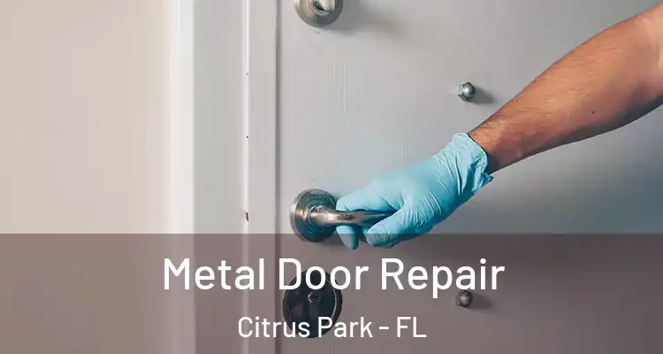 Metal Door Repair Citrus Park - FL