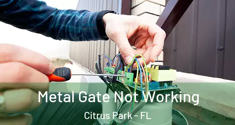 Metal Gate Not Working Citrus Park - FL