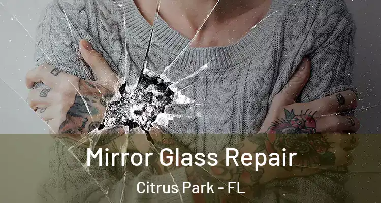 Mirror Glass Repair Citrus Park - FL