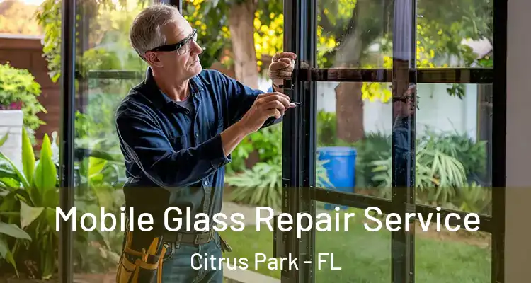 Mobile Glass Repair Service Citrus Park - FL