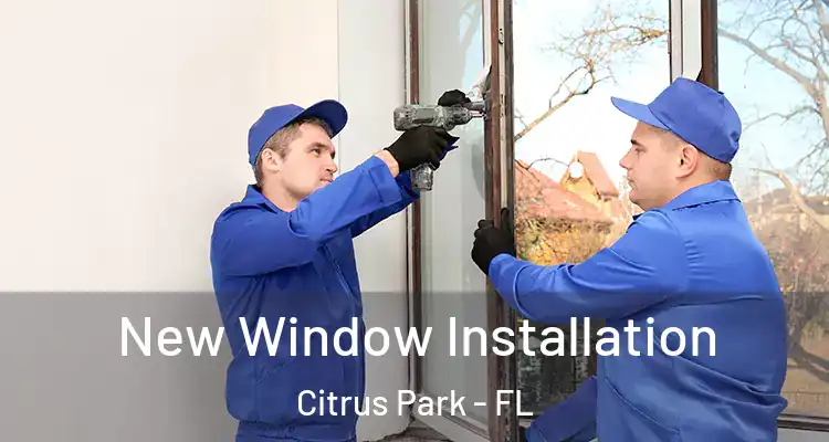 New Window Installation Citrus Park - FL