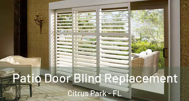 Patio Door Blind Replacement Citrus Park - FL