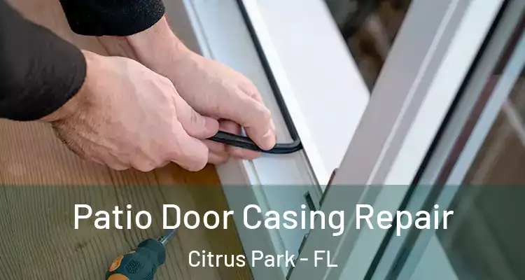 Patio Door Casing Repair Citrus Park - FL