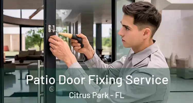 Patio Door Fixing Service Citrus Park - FL