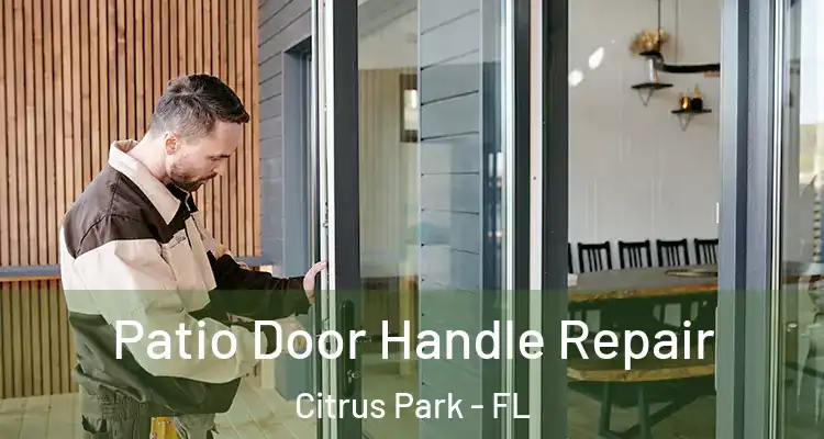 Patio Door Handle Repair Citrus Park - FL