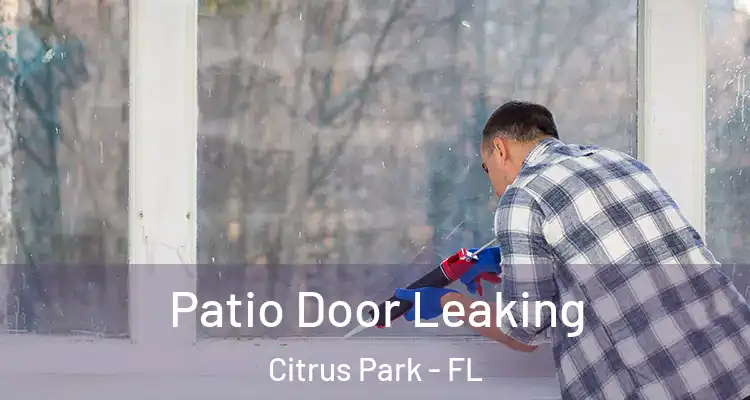 Patio Door Leaking Citrus Park - FL