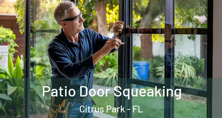 Patio Door Squeaking Citrus Park - FL