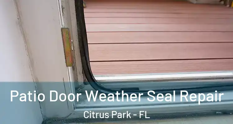 Patio Door Weather Seal Repair Citrus Park - FL