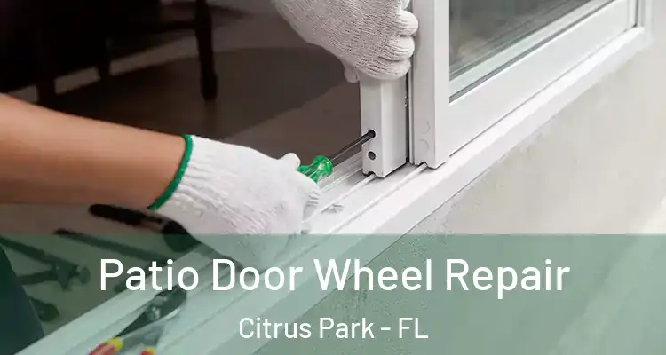 Patio Door Wheel Repair Citrus Park - FL