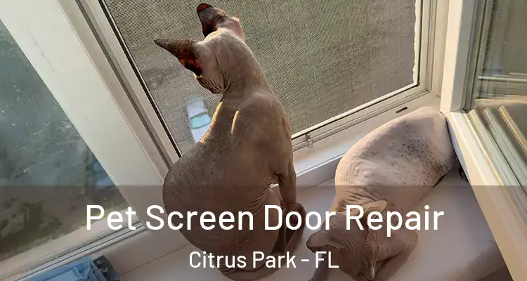 Pet Screen Door Repair Citrus Park - FL