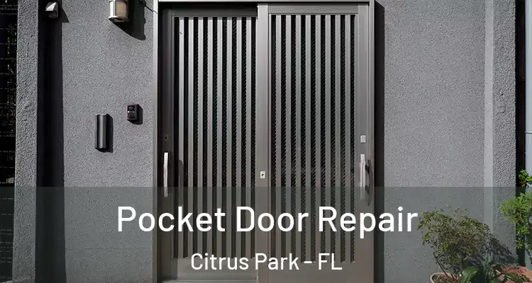Pocket Door Repair Citrus Park - FL