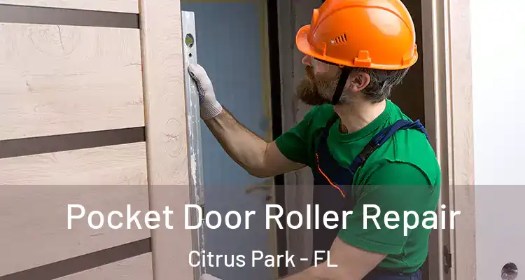 Pocket Door Roller Repair Citrus Park - FL