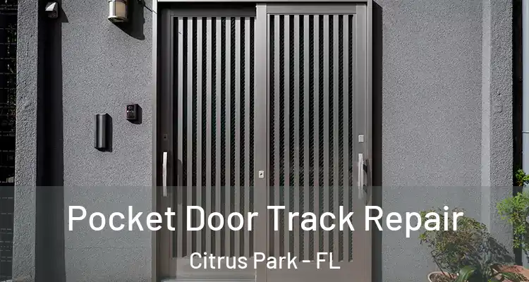 Pocket Door Track Repair Citrus Park - FL
