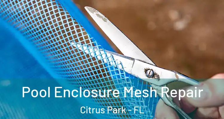 Pool Enclosure Mesh Repair Citrus Park - FL