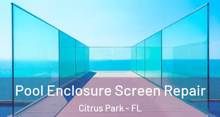 Pool Enclosure Screen Repair Citrus Park - FL