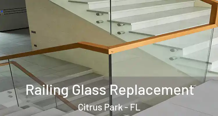 Railing Glass Replacement Citrus Park - FL