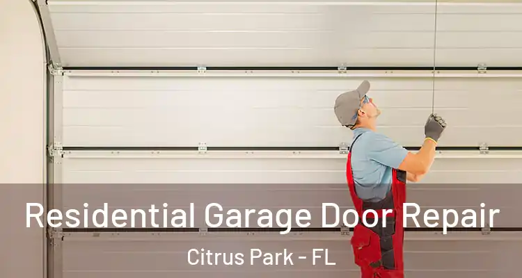 Residential Garage Door Repair Citrus Park - FL