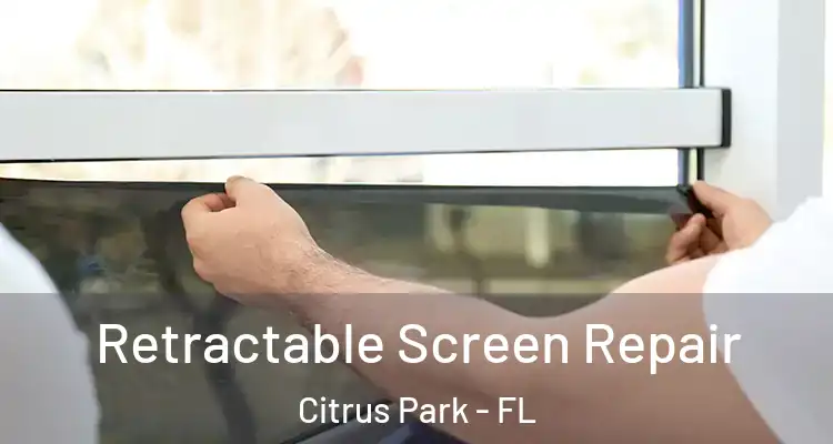 Retractable Screen Repair Citrus Park - FL