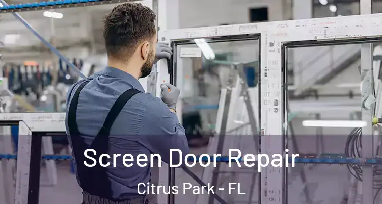Screen Door Repair Citrus Park - FL