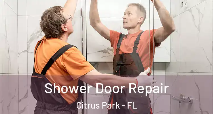 Shower Door Repair Citrus Park - FL
