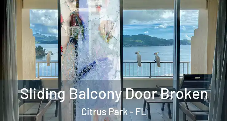 Sliding Balcony Door Broken Citrus Park - FL