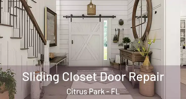 Sliding Closet Door Repair Citrus Park - FL
