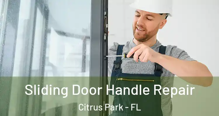 Sliding Door Handle Repair Citrus Park - FL