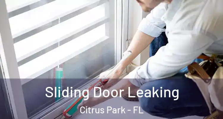 Sliding Door Leaking Citrus Park - FL