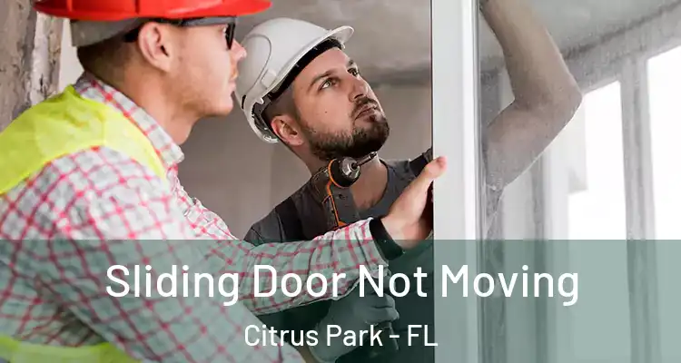 Sliding Door Not Moving Citrus Park - FL