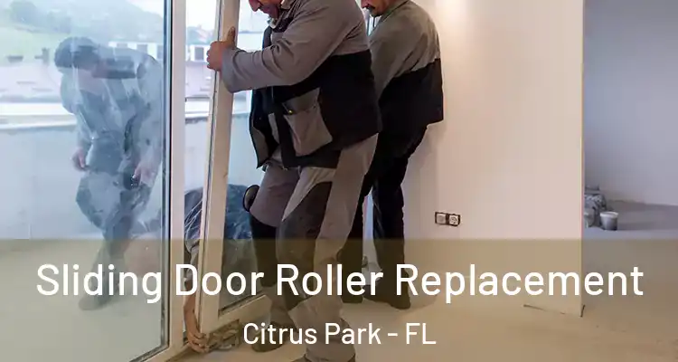 Sliding Door Roller Replacement Citrus Park - FL