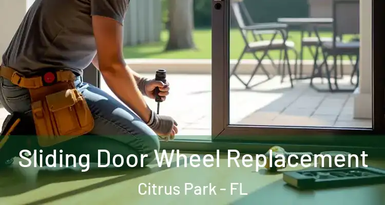 Sliding Door Wheel Replacement Citrus Park - FL