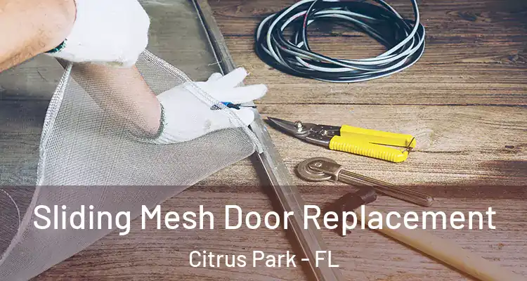 Sliding Mesh Door Replacement Citrus Park - FL