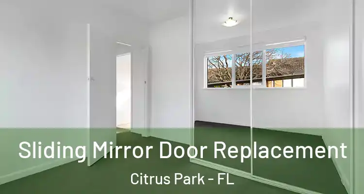 Sliding Mirror Door Replacement Citrus Park - FL