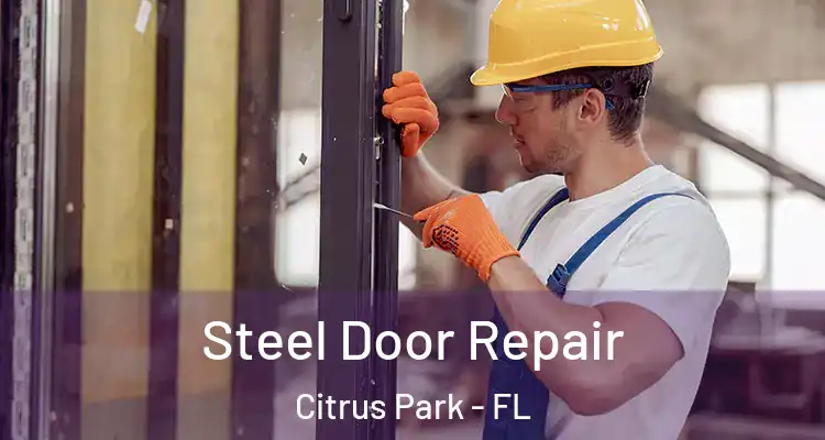 Steel Door Repair Citrus Park - FL