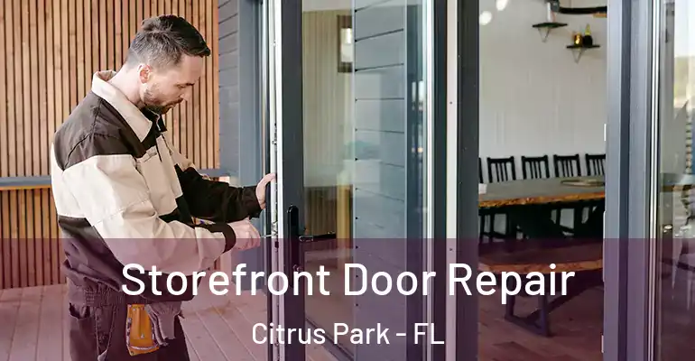 Storefront Door Repair Citrus Park - FL