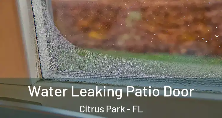 Water Leaking Patio Door Citrus Park - FL