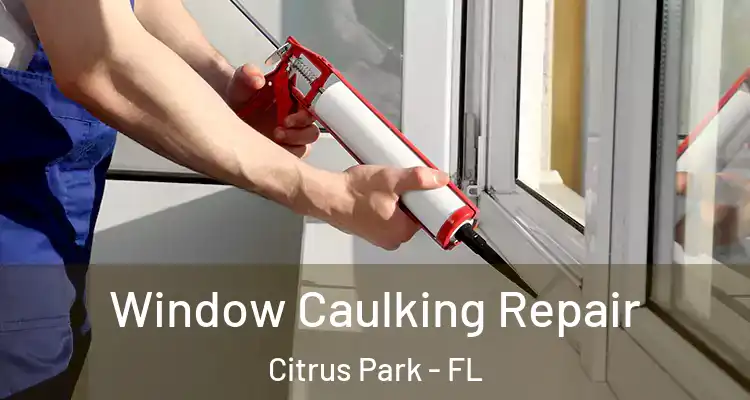 Window Caulking Repair Citrus Park - FL