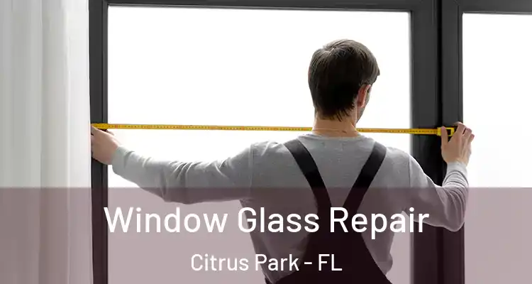 Window Glass Repair Citrus Park - FL