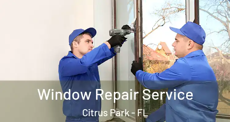 Window Repair Service Citrus Park - FL
