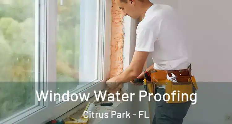 Window Water Proofing Citrus Park - FL