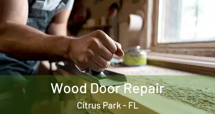 Wood Door Repair Citrus Park - FL